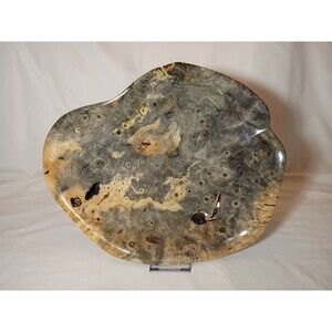 Hand Carved Buckeye Burl Deep Bowl Platter Display Turning Wood One Of A Kind